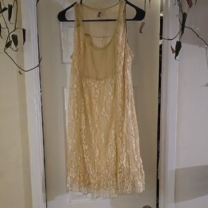 Elegant Lace Sleeveless Dress